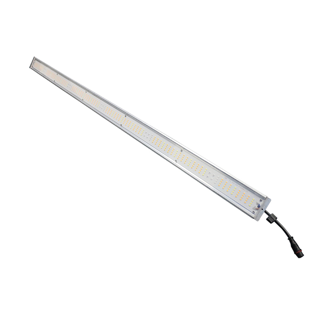 Grow Light