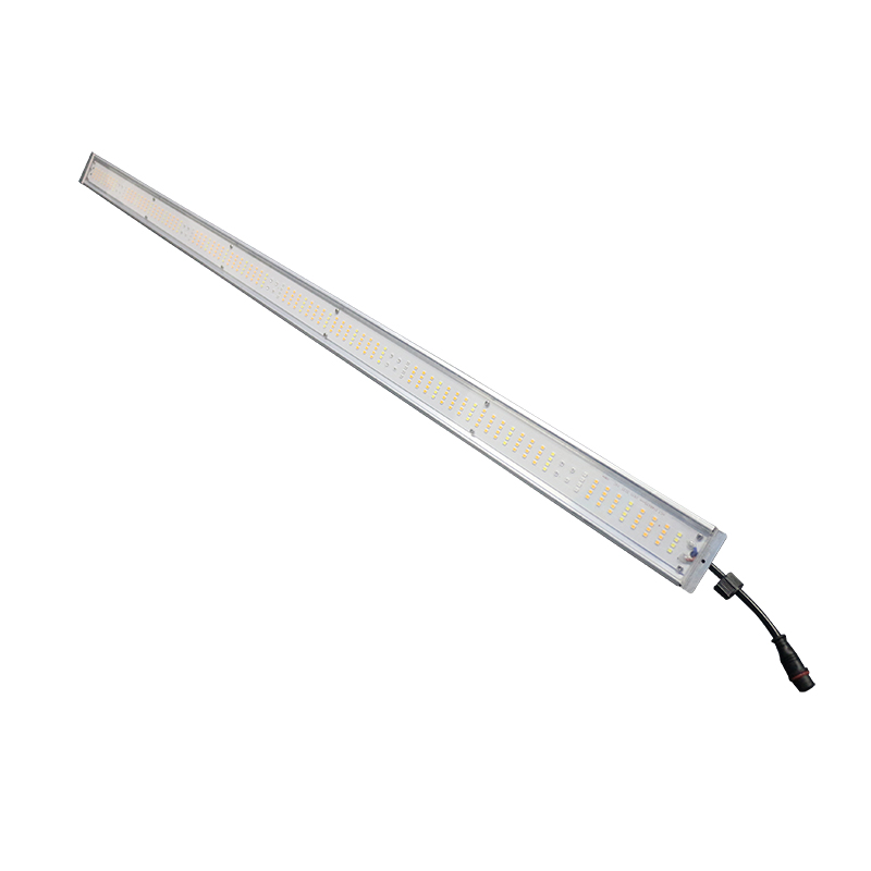 Grow Light