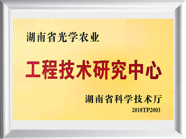 相框---副本